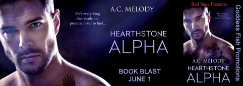 Hearthstone Alpha Tour